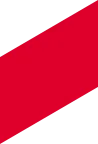 https://stradagroup.ps/wp-content/uploads/2020/11/img-red-skew.png
